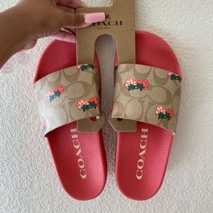Coach Uli Sport Strawberry Print Size 6 slides